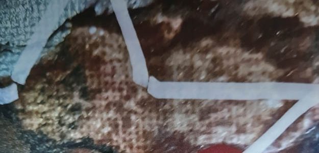 Ergebnis der Caritas-Adventssammlung 2025